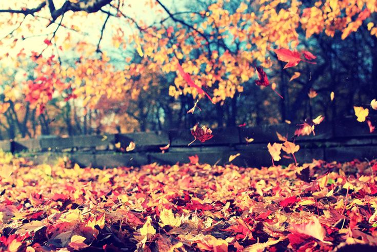 autumn poem image